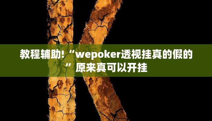 教程辅助!“wepoker透视挂真的假的”原来真可以开挂