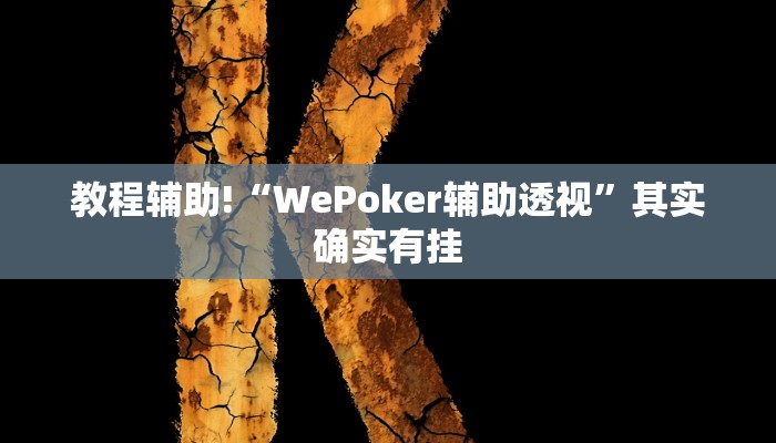教程辅助!“WePoker辅助透视”其实确实有挂