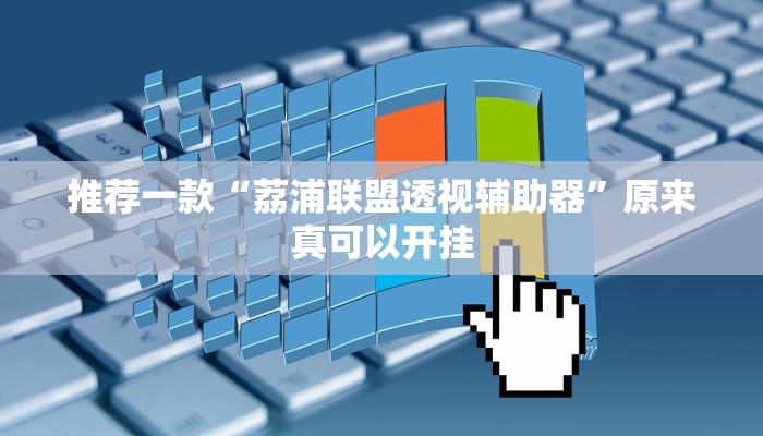 推荐一款“荔浦联盟透视辅助器”原来真可以开挂