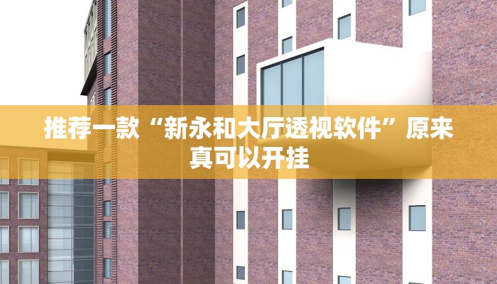推荐一款“新永和大厅透视软件”原来真可以开挂