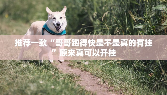 推荐一款“哥哥跑得快是不是真的有挂”原来真可以开挂