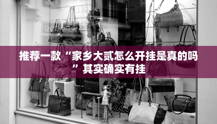 推荐一款“家乡大贰怎么开挂是真的吗”其实确实有挂