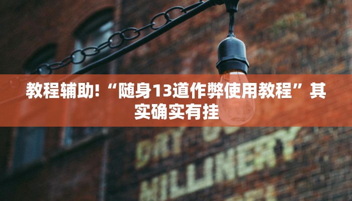 教程辅助!“随身13道作弊使用教程”其实确实有挂