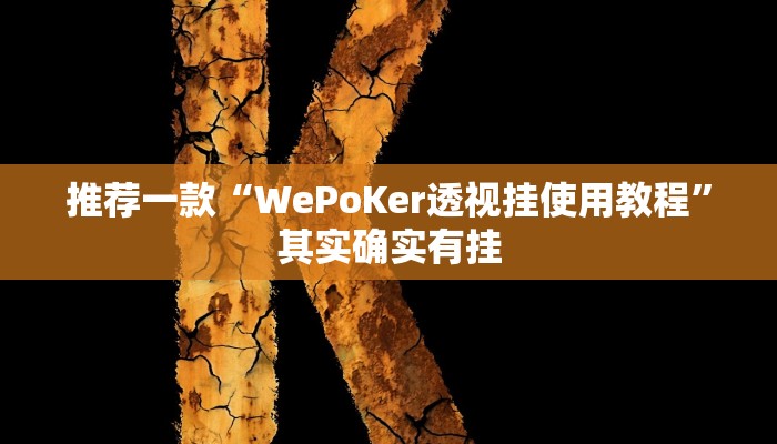 推荐一款“WePoKer透视挂使用教程”其实确实有挂