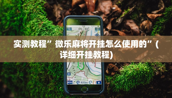 实测教程”微乐麻将开挂怎么使用的”(详细开挂教程)