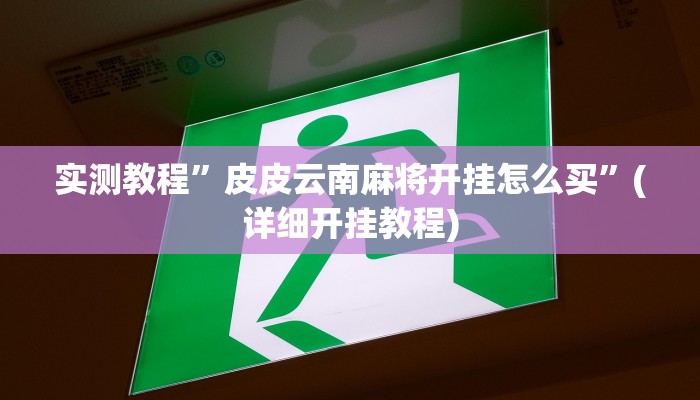 实测教程”皮皮云南麻将开挂怎么买”(详细开挂教程)