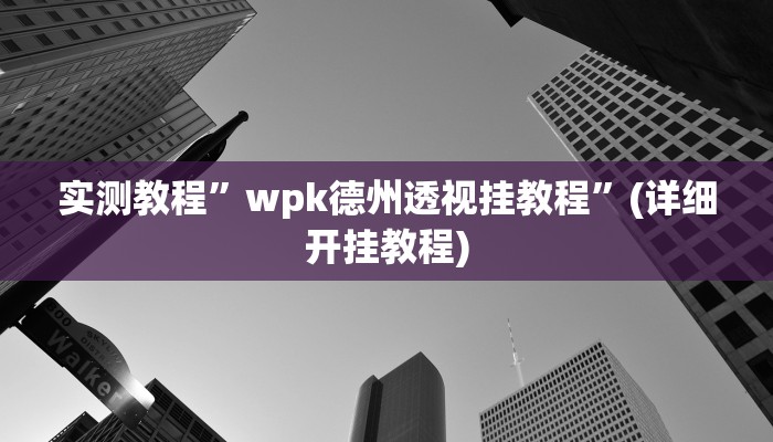 实测教程”wpk德州透视挂教程”(详细开挂教程)