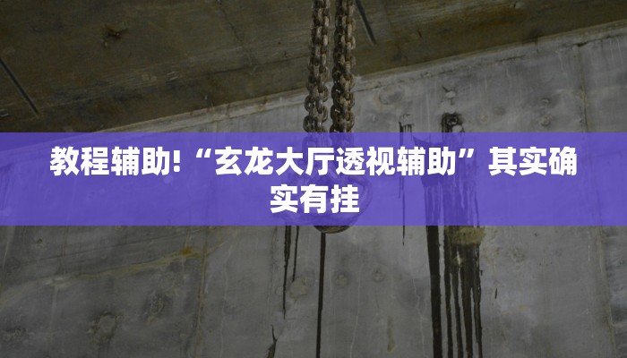 教程辅助!“玄龙大厅透视辅助”其实确实有挂