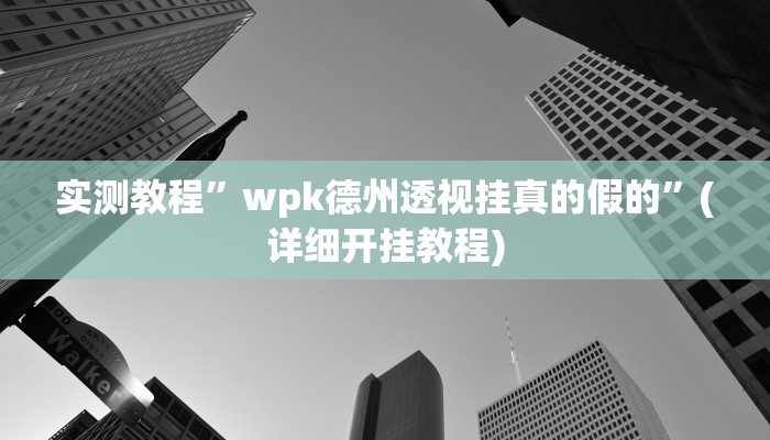 实测教程”wpk德州透视挂真的假的”(详细开挂教程)