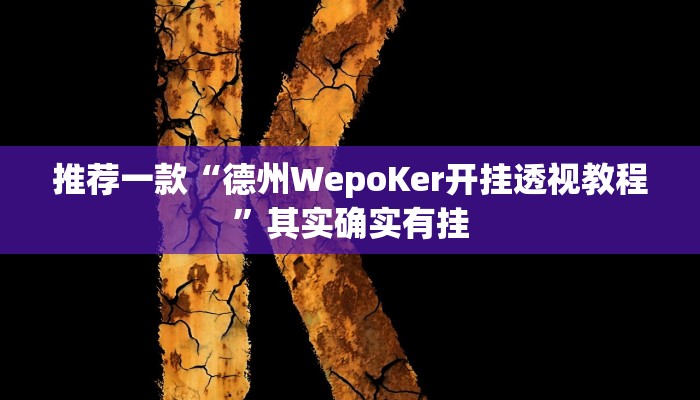 实测教程”新版德扑之星开挂透视方法”(详细开挂教程)