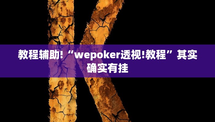 教程辅助!“wepoker透视!教程”其实确实有挂