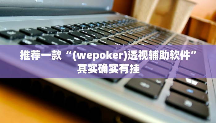 推荐一款“(wepoker)透视辅助软件”其实确实有挂