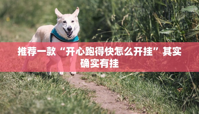 推荐一款“开心跑得快怎么开挂”其实确实有挂