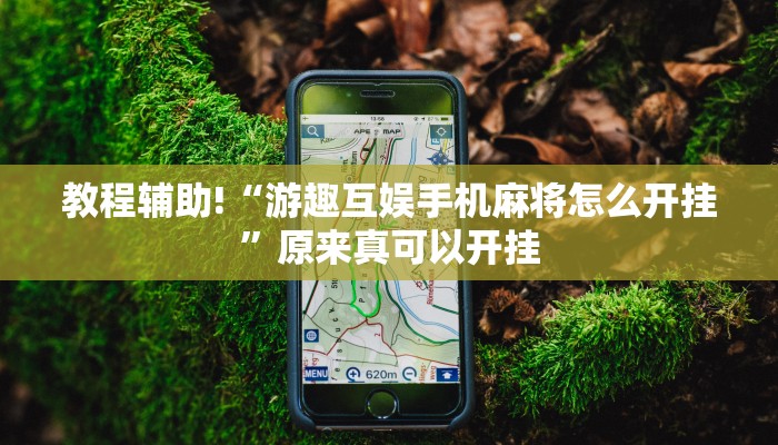 教程辅助!“拼三张作弊透视”其实确实有挂