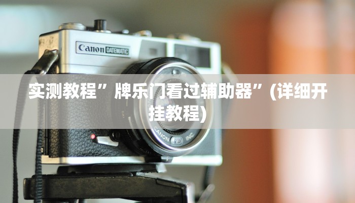 实测教程”牌乐门看过辅助器”(详细开挂教程)
