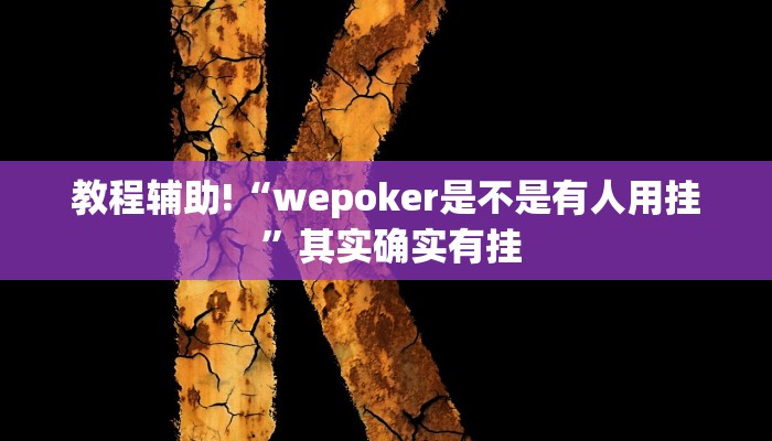 教程辅助!“wepoker是不是有人用挂 ”其实确实有挂
