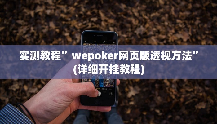 实测教程”wepoker网页版透视方法”(详细开挂教程)