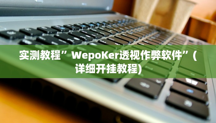 实测教程”WepoKer透视作弊软件”(详细开挂教程)
