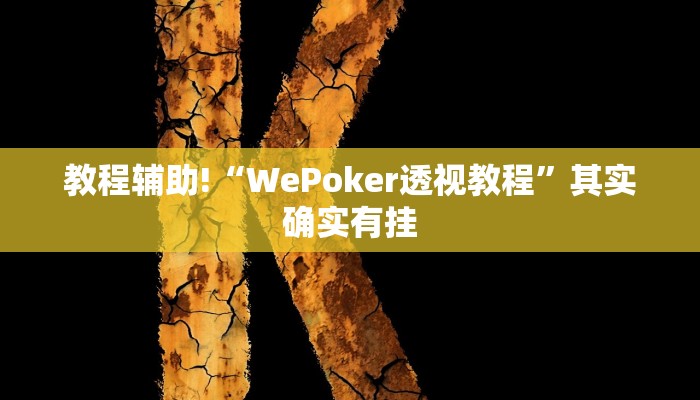 教程辅助!“WePoker透视教程”其实确实有挂