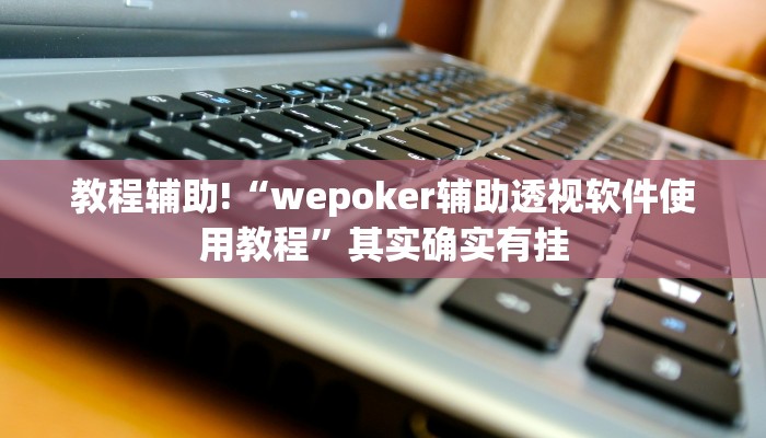 教程辅助!“wepoker辅助透视软件使用教程”其实确实有挂