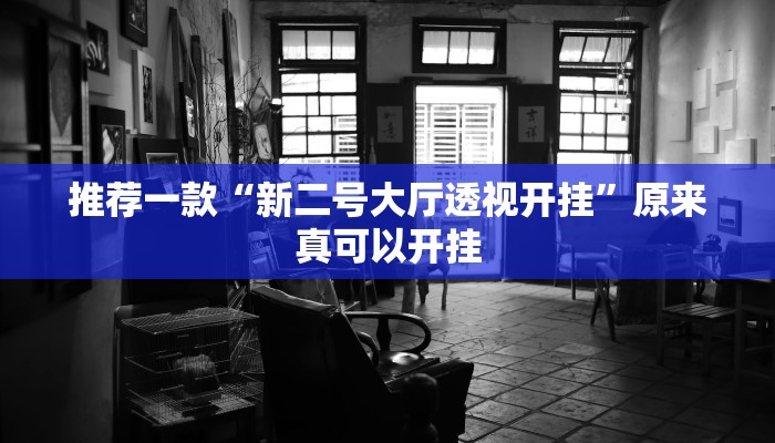 推荐一款“新二号大厅透视开挂”原来真可以开挂