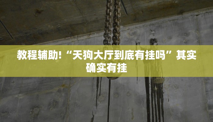 教程辅助!“天狗大厅到底有挂吗”其实确实有挂