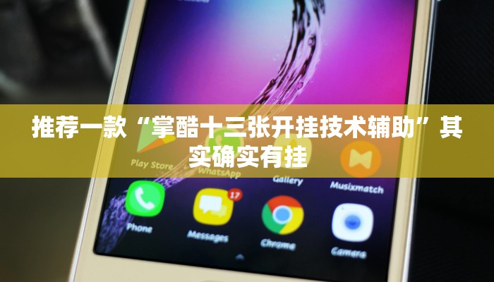 推荐一款“掌酷十三张开挂技术辅助”其实确实有挂