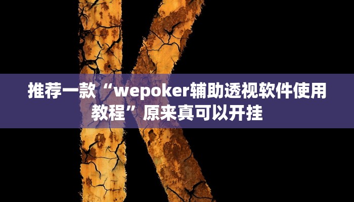 推荐一款“wepoker辅助透视软件使用教程”原来真可以开挂