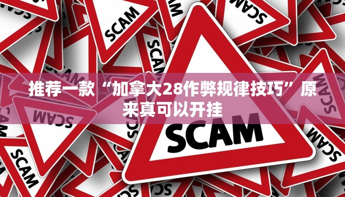 推荐一款“加拿大28作弊规律技巧”原来真可以开挂
