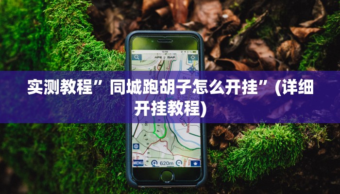 实测教程”同城跑胡子怎么开挂”(详细开挂教程)