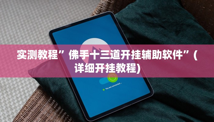 实测教程”佛手十三道开挂辅助软件”(详细开挂教程)