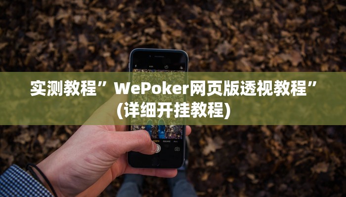 实测教程”WePoker网页版透视教程”(详细开挂教程)