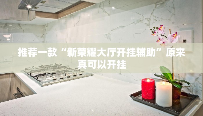 推荐一款“新荣耀大厅开挂辅助”原来真可以开挂