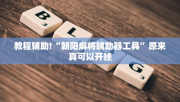 教程辅助!“朝阳麻将辅助器工具”原来真可以开挂