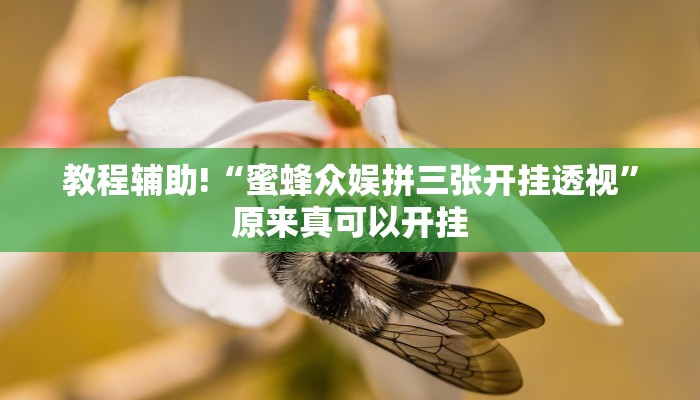 教程辅助!“蜜蜂众娱拼三张开挂透视”原来真可以开挂