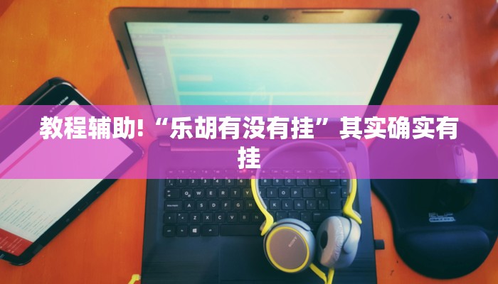 教程辅助!“乐胡有没有挂”其实确实有挂