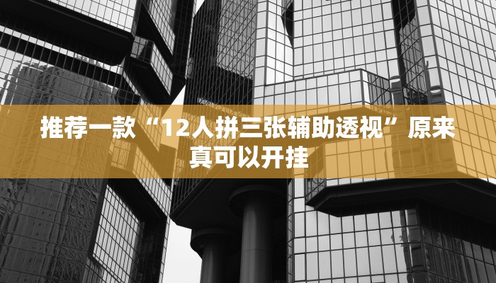 推荐一款“12人拼三张辅助透视”原来真可以开挂