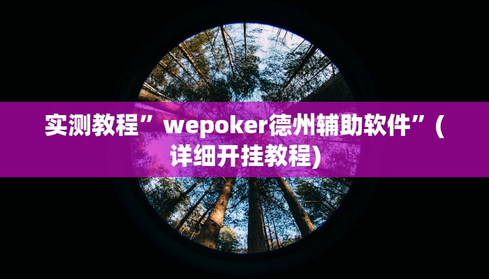 实测教程”wepoker德州辅助软件”(详细开挂教程)