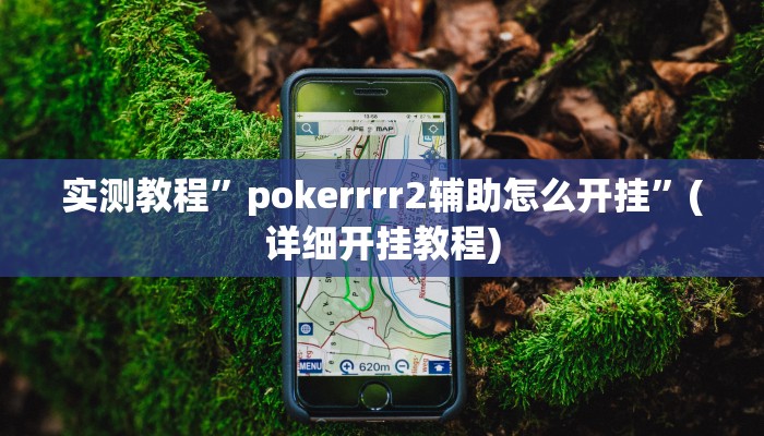 实测教程”pokerrrr2辅助怎么开挂”(详细开挂教程)