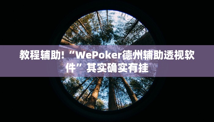 教程辅助!“WePoker德州辅助透视软件”其实确实有挂