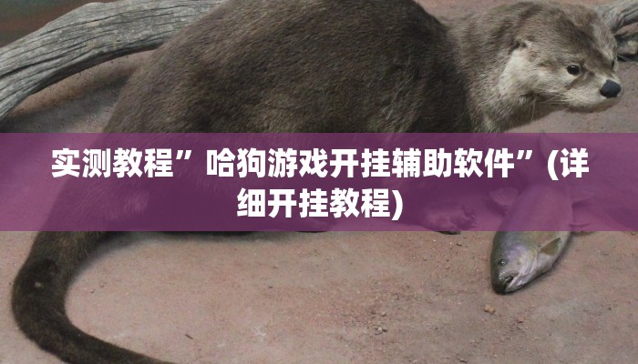 实测教程”哈狗游戏开挂辅助软件”(详细开挂教程)