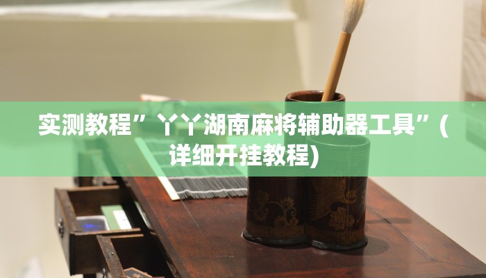 实测教程”丫丫湖南麻将辅助器工具”(详细开挂教程)