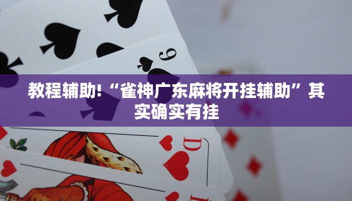 教程辅助!“雀神广东麻将开挂辅助”其实确实有挂