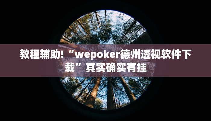 教程辅助!“wepoker德州透视软件下载”其实确实有挂