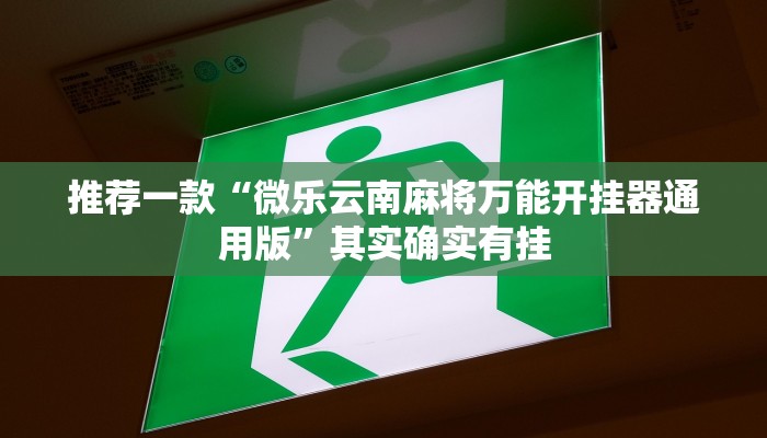 推荐一款“微乐云南麻将万能开挂器通用版”其实确实有挂