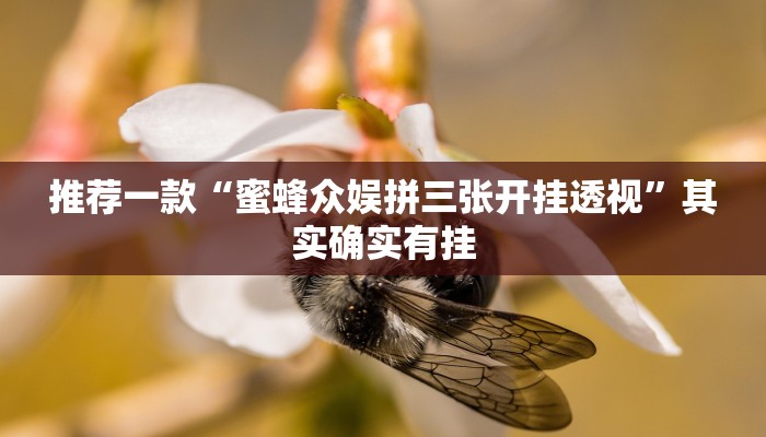 实测教程”皮皮衡阳字牌有挂吗”(详细开挂教程)