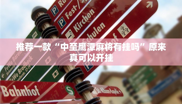 推荐一款“中至鹰潭麻将有挂吗”原来真可以开挂