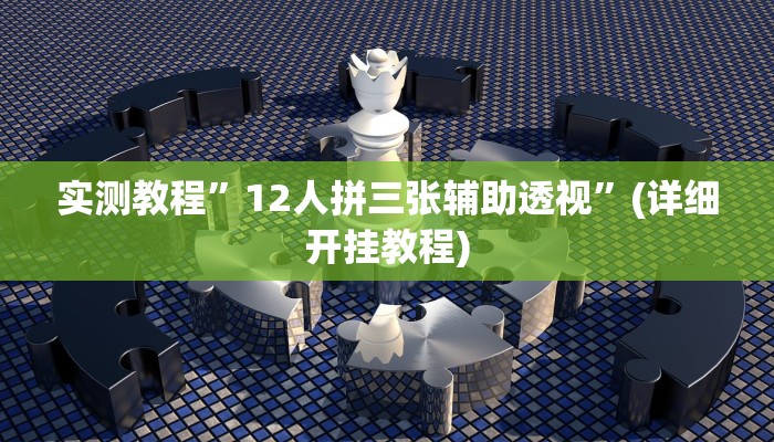 实测教程”12人拼三张辅助透视”(详细开挂教程)