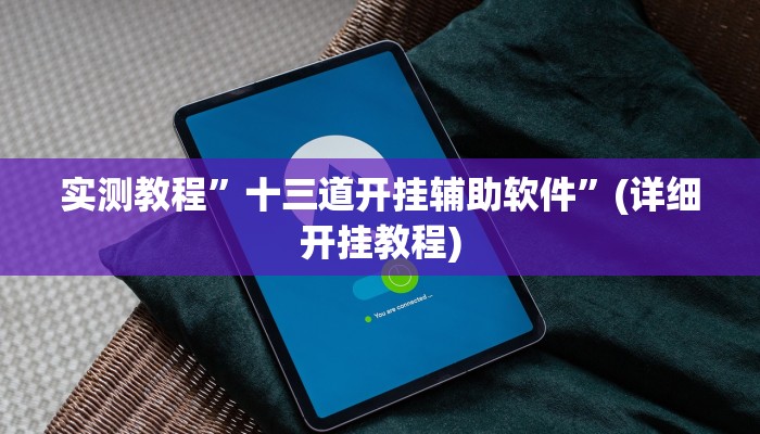 实测教程”十三道开挂辅助软件”(详细开挂教程)