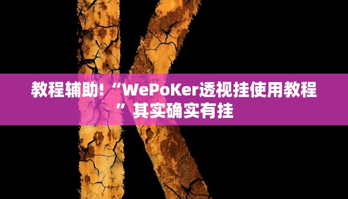 教程辅助!“WePoKer透视挂使用教程”其实确实有挂